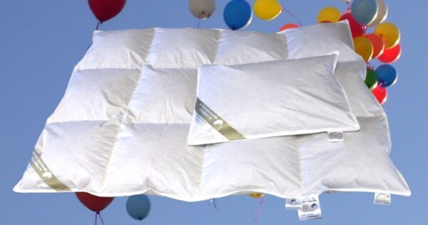 Hofmann´s Baby Kinder Set Daunenbett 100x135 cm Daunendecke + Kissen 100% Natur EAN:0785983359771