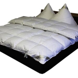 Hofmann 8cm Hochsteg Winter Daunenbett Daunendecke 6x7 200x220 100% neue Daunen EAN:0785983359894