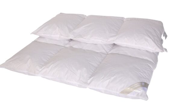 Luxus Winter Kassetten Daunenbett Daunendecke 3x4 155x220 cm 100% neue Daunen EAN:0785983359962