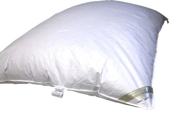 Winter Oberbett Daunenbett Ballonbett 155x200cm 1800g 100% neue Daunen superwarm EAN:0785983360371