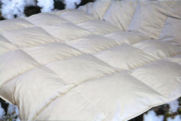 Ganzjahres-Daunendecke Daunenbett Bettdecke 6x6 200x200 cm 100% neue Daunen EAN:0785983360524