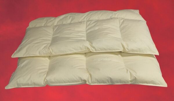 4-Kammer Bettdecke Federbett Steppdecke Winterbett 30% Daunen 155x220 cm 1800g EAN:0785983360913