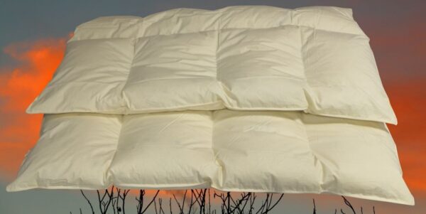 4-Kammer Daunenbett Steppdecke Daunendecke 155x220 cm 1600 g 60% Daunenanteil EAN:0785983360920