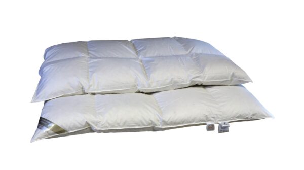 Eiszeit Premium 10 cm Winter Hochsteg Daunendecke Daunenbett 4x6 155x200 cm EAN:0791732638219