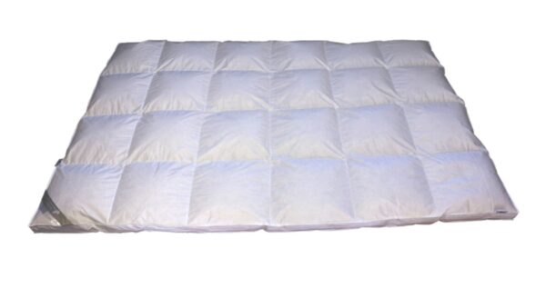 Premium 8cm Hochsteg Winter Daunenbett Bettdecke 4x6 Außensteg 155x220 cm warm EAN:0791732639643