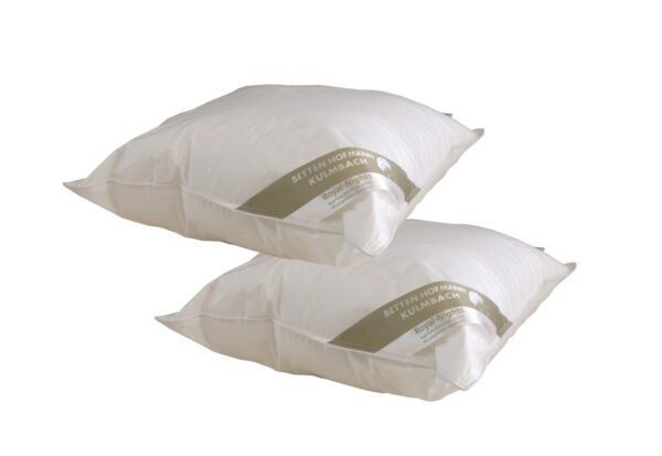 2 Stück Hofmanns Basic Allergiker Kopfkissen Faserkissen 65x65 cm waschbar 600g EAN:0791732640106