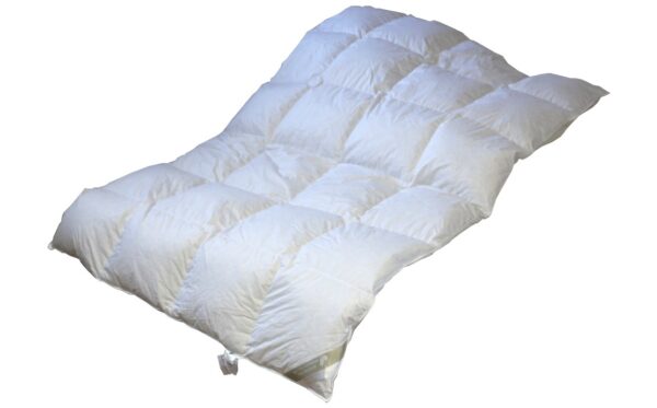 Hofmann´s Franken Daunendecke Daunenbett Bettdecke 4x6 135x200 cm 860 g EAN:0791732640342