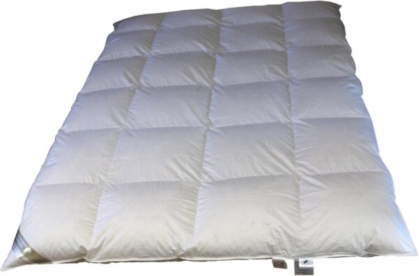 Hofmann Bayern Winter 8cm Hochsteg Daunendecke Daunenbett 4x6 135x200 cm 1080g EAN:0791732643633