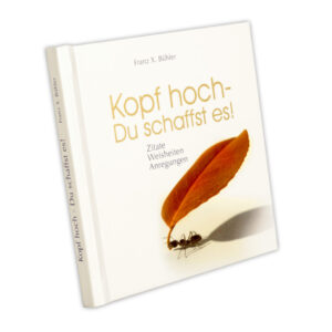 Kopf hoch - du schaffst das EAN: