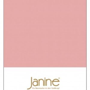 Janine Janine Spannbetttuch Mako-Feinjersey 5007 zartmauve (31) Größe:  200x200 cm EAN:4004565716938