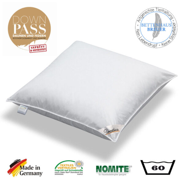 Kopfkissen 1100g neue 15% Daunen 85% Federn Daunenpass 80x80 fest EAN:4033829223028