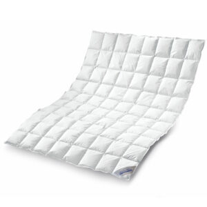 Daunenpass Sommer Daunen Bettdecke Sommerbett Sommerdecke 360g 200x200 EAN:4033829352933