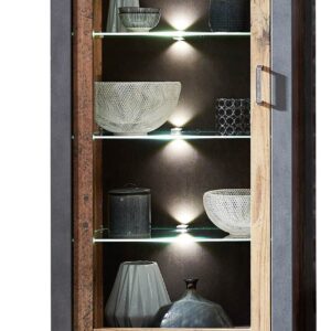 Vitrine CARDIFF 1-türig mit LED Beleuchtung - Vintage Style Mix dark EAN:4250314548491